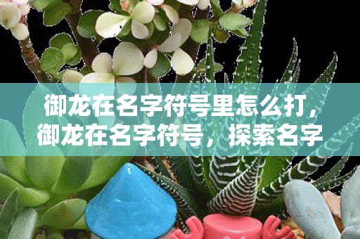 御龙在名字符号里怎么打图片