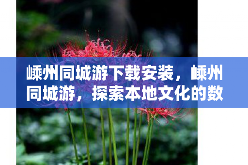 探索本地文化的数字桥梁图片