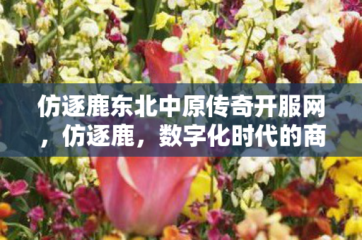 数字化时代的商业竞争新生态图片