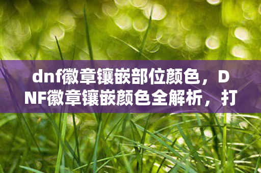 DNF徽章镶嵌颜色全解析图片