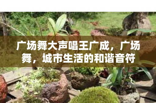 广场舞大声唱王广成图片