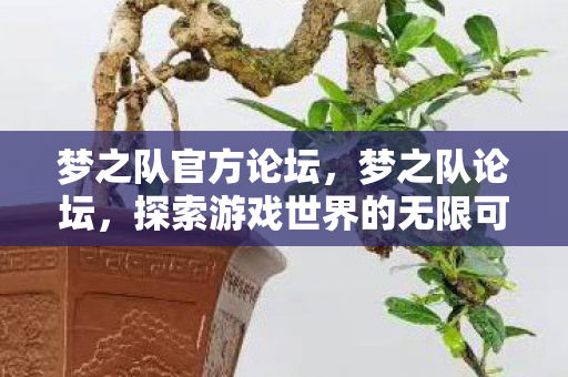 探索游戏世界的无限可能图片