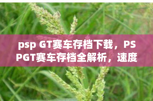 psp GT赛车存档下载图片