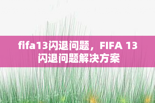 FIFA 13 闪退问题解决方案图片