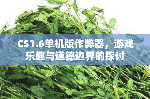 游戏乐趣与道德边界的探讨图片