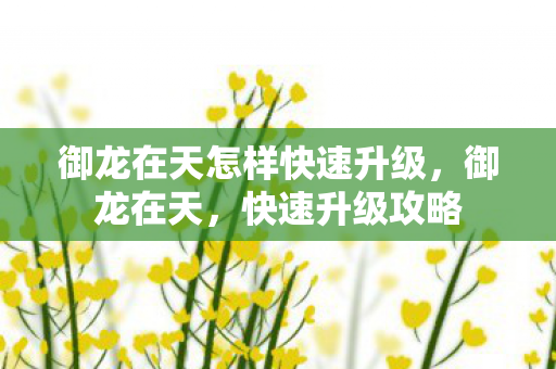 御龙在天怎样快速升级图片