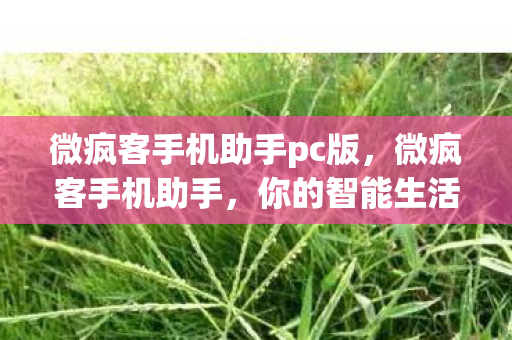 微疯客手机助手pc版图片
