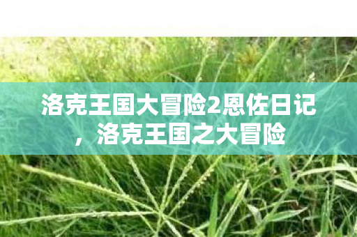 洛克王国大冒险2恩佐日记图片