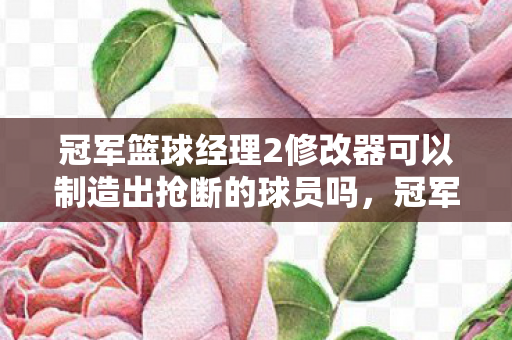 冠军篮球经理2修改器可以制造出抢断的球员吗图片