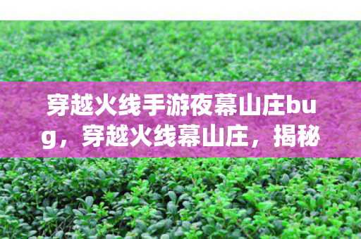 穿越火线手游夜幕山庄bug图片