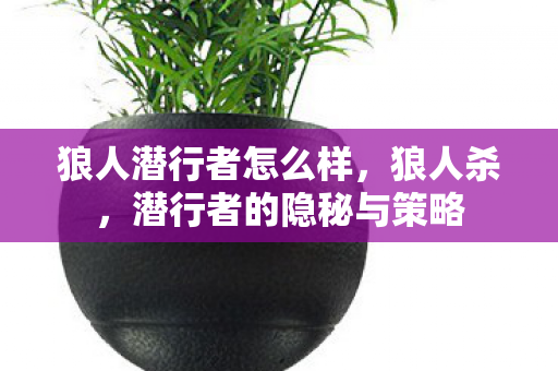 潜行者的隐秘与策略图片