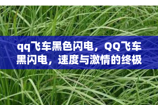 速度与激情的终极追求图片