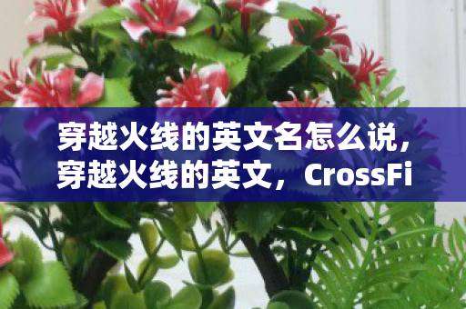 穿越火线的英文名怎么说图片