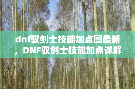 dnf驭剑士技能加点图最新图片
