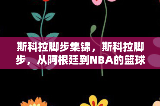 从阿根廷到NBA的篮球传奇图片