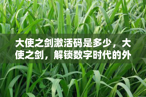 解锁数字时代的外交新篇章图片