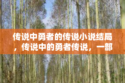 传说中勇者的传说小说结局图片