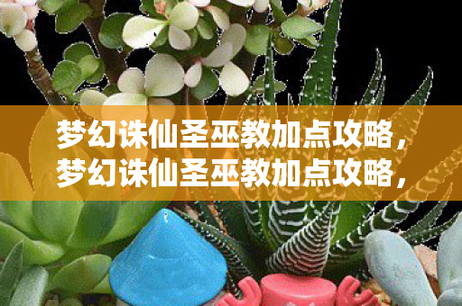 梦幻诛仙圣巫教加点攻略图片