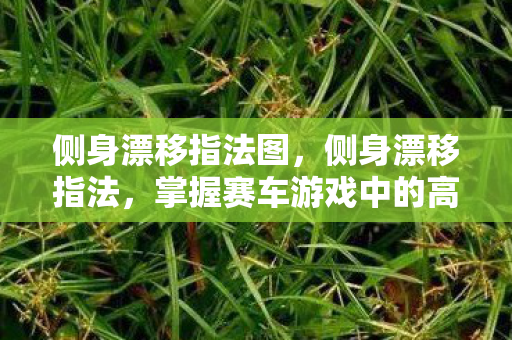 掌握赛车游戏中的高级技巧图片