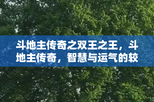 斗地主传奇之双王之王图片