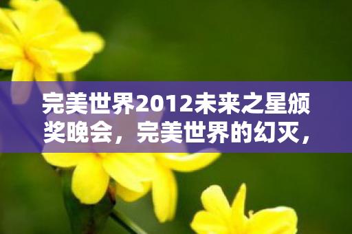 完美世界2012未来之星颁奖晚会图片