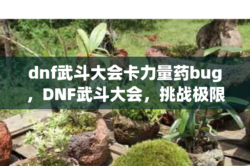 dnf武斗大会卡力量药bug图片