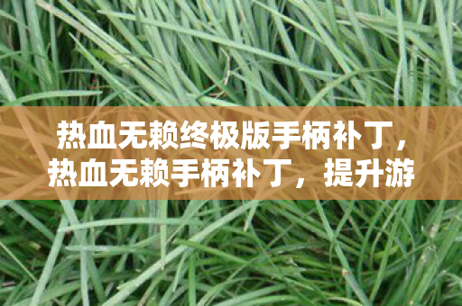 热血无赖终极版手柄补丁图片