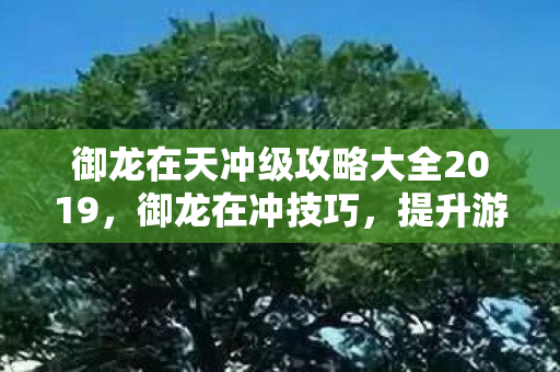 御龙在天冲级攻略大全2019图片