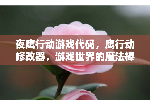 夜鹰行动游戏代码图片
