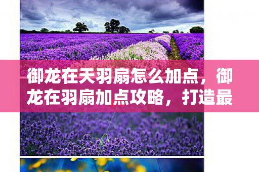 御龙在天羽扇怎么加点图片