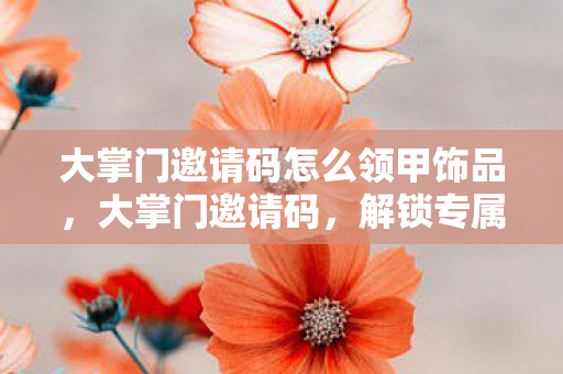 大掌门邀请码怎么领甲饰品图片