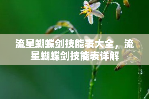 流星蝴蝶剑技能表大全图片