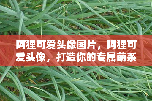 打造你的专属萌系风格图片