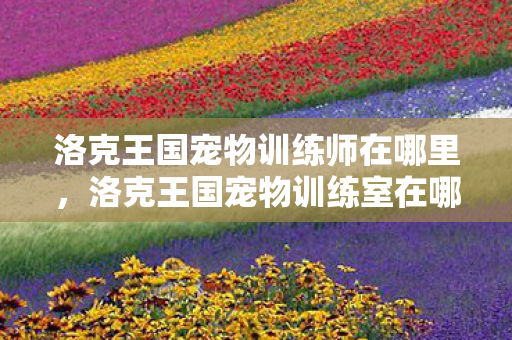 洛克王国宠物训练师在哪里图片