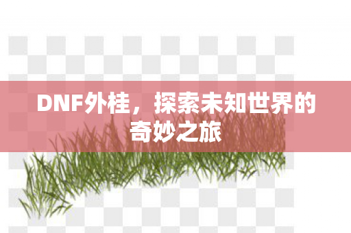 探索未知世界的奇妙之旅图片