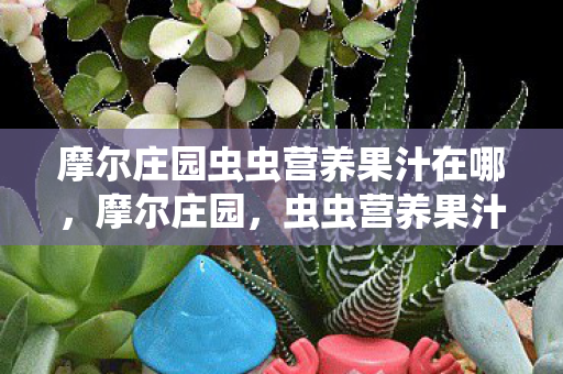 摩尔庄园虫虫营养果汁在哪图片