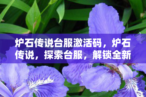 炉石传说台服激活码图片