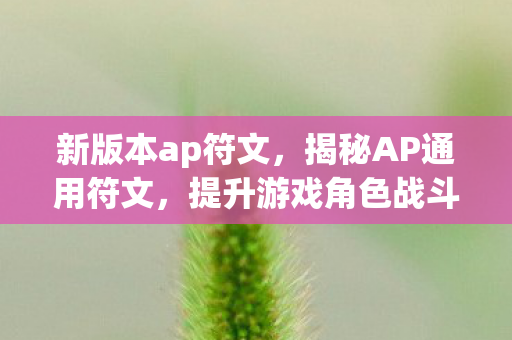 提升游戏角色战斗力的神秘钥匙图片