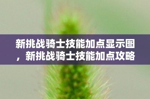 新挑战骑士技能加点显示图图片