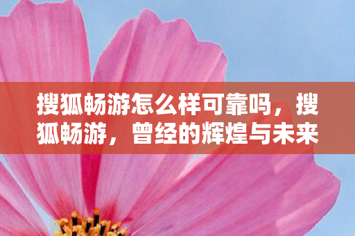 曾经的辉煌与未来的挑战图片