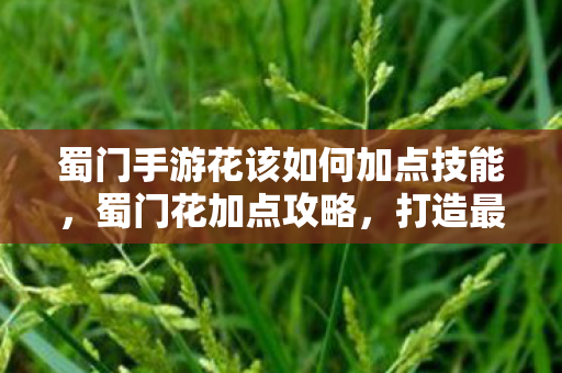蜀门手游花该如何加点技能图片