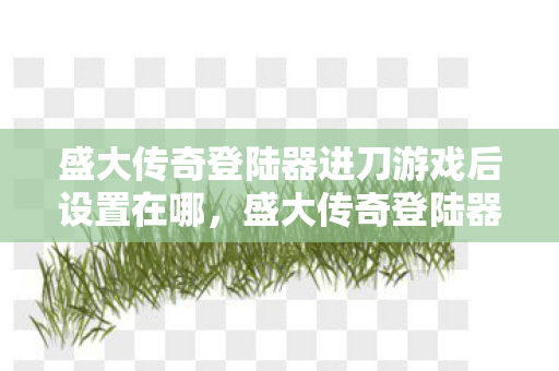 盛大传奇登陆器进刀游戏后设置在哪图片