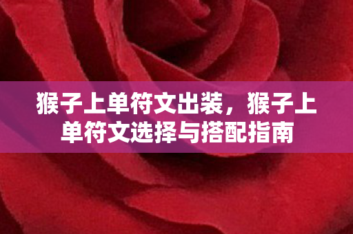 猴子上单符文选择与搭配指南图片