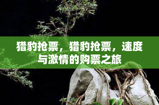 速度与激情的购票之旅图片