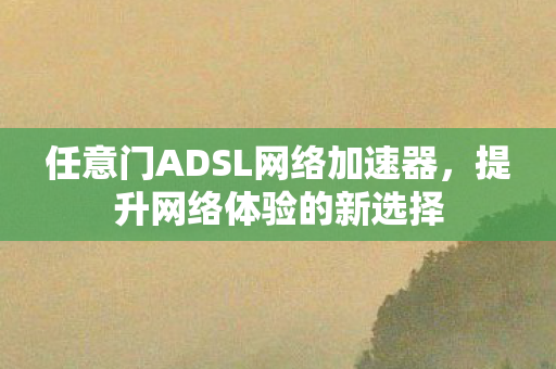 任意门ADSL网络加速器，提升网络体验的新选择