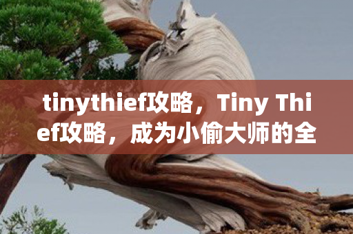 Tiny Thief攻略图片