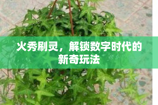 解锁数字时代的新奇玩法图片