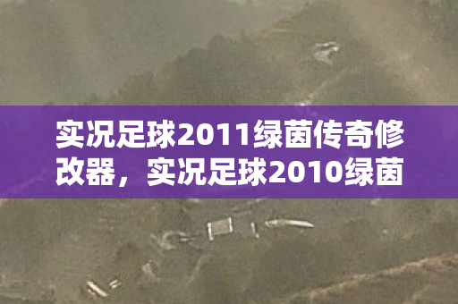 实况足球2011绿茵传奇修改器图片