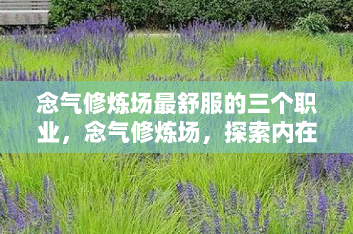 念气修炼场最舒服的三个职业图片