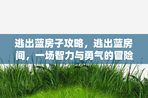 一场智力与勇气的冒险图片